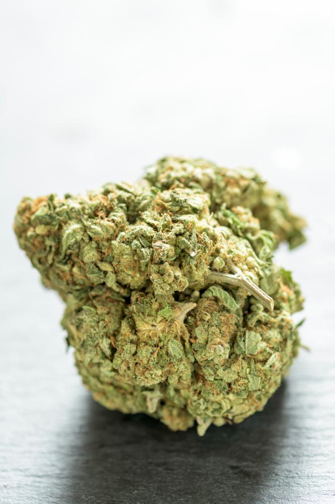 Close-up of medical marijuana leaves highlighting the plant's healing properties
