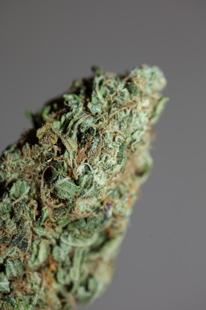 Super Skunk Medical Cannabis Bud