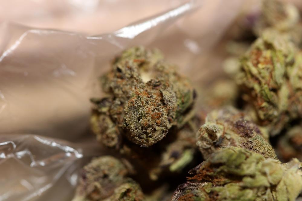 Cannabis Buds Close-Up Representing Quality Manhattan Dispensary Products