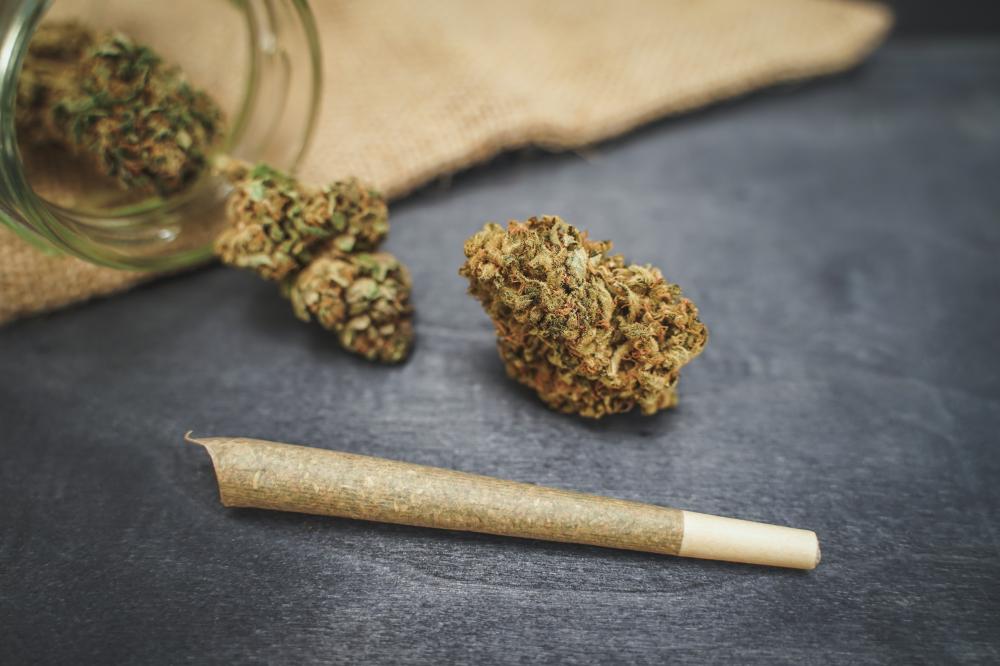Medical marijuana and hemp leaves representing cannabis product variety