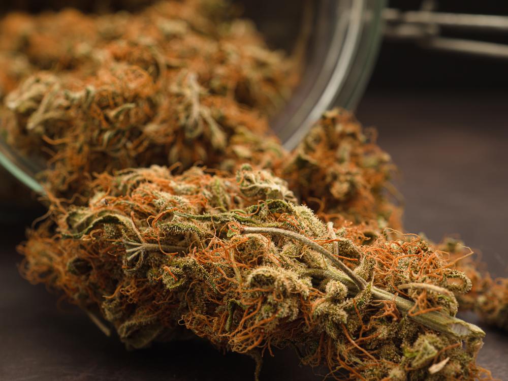 Curated Cannabis Selection
