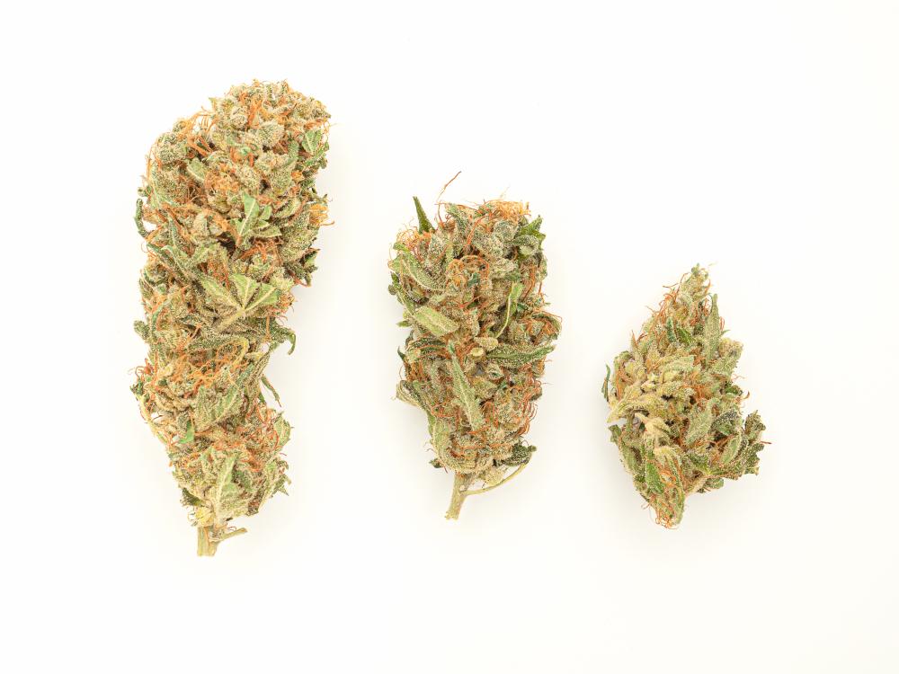Why Choose Green Dash Delivery?