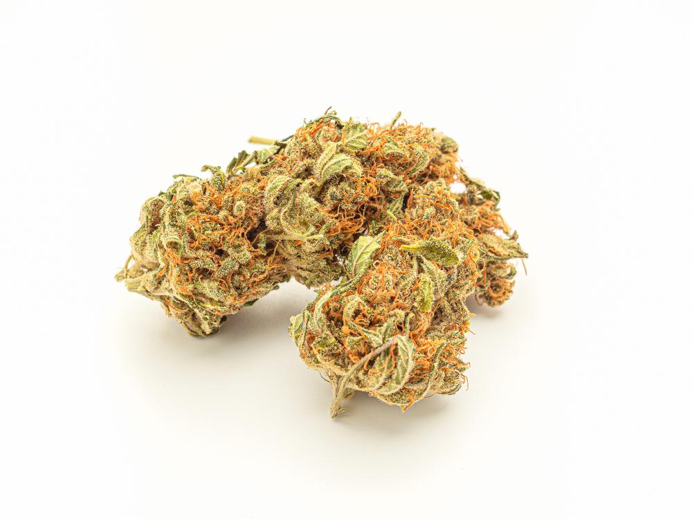 What are the Benefits of CBD for Pets?