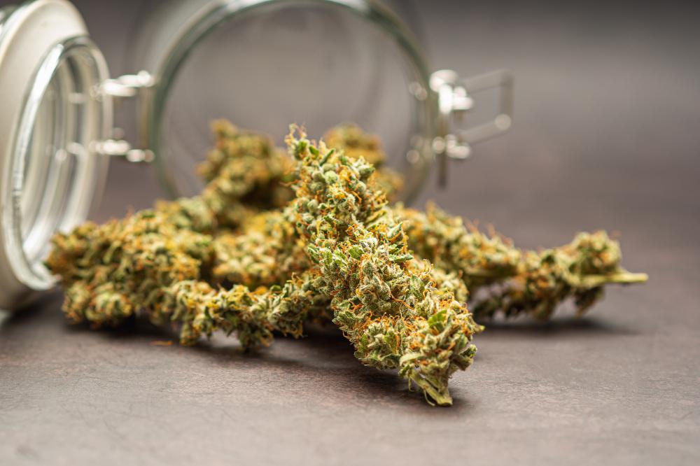 The Simplest Cannabis Ordering Process