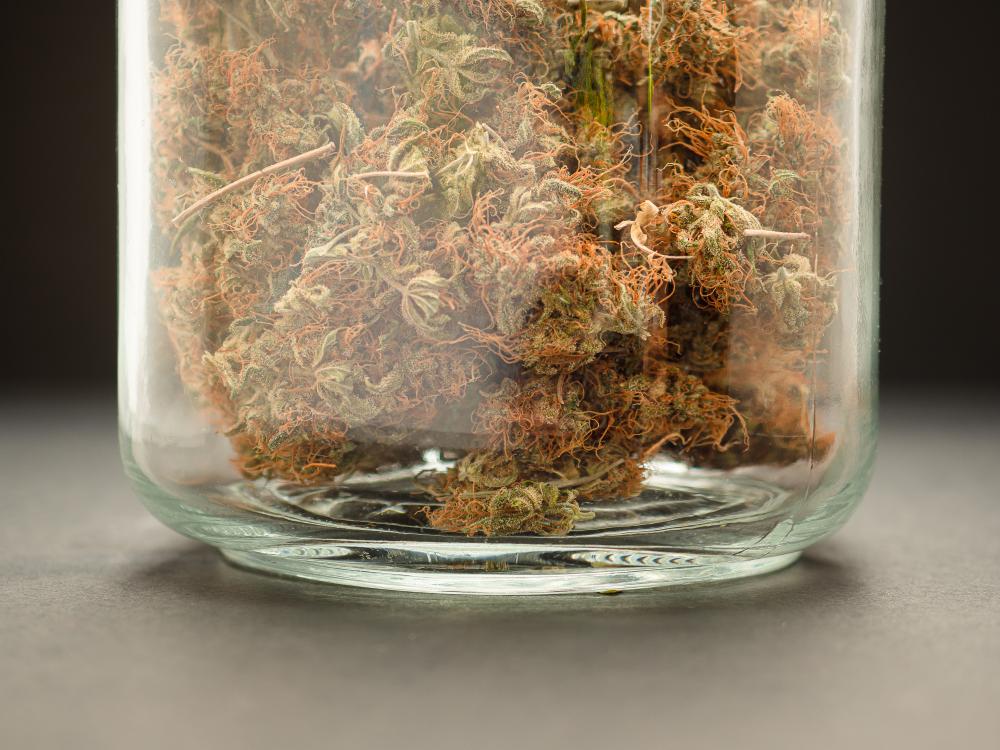 Addressing Safety and Regulations in Cannabis Delivery