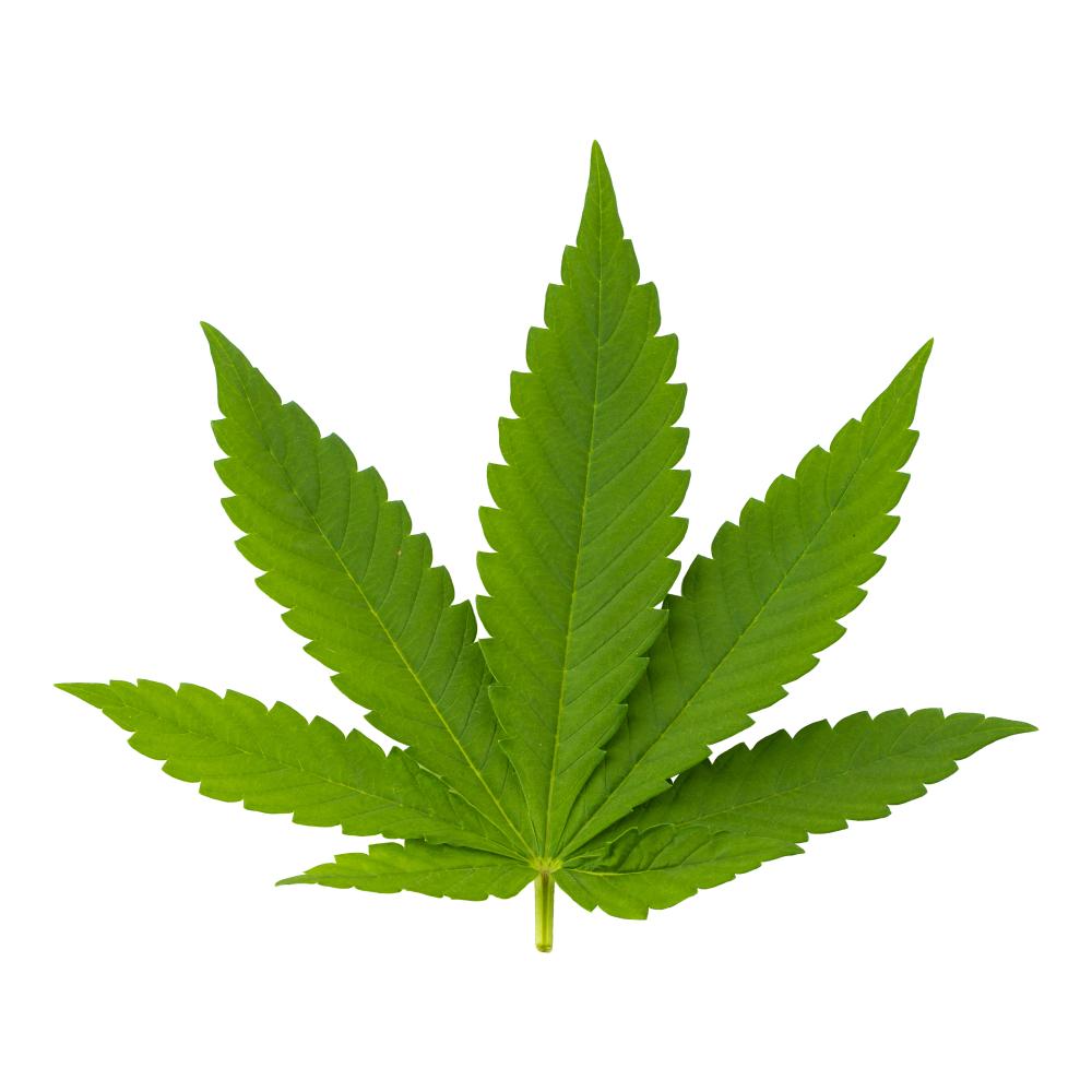 What Qualifies as a Weed Dispensary in Illinois Emergency?