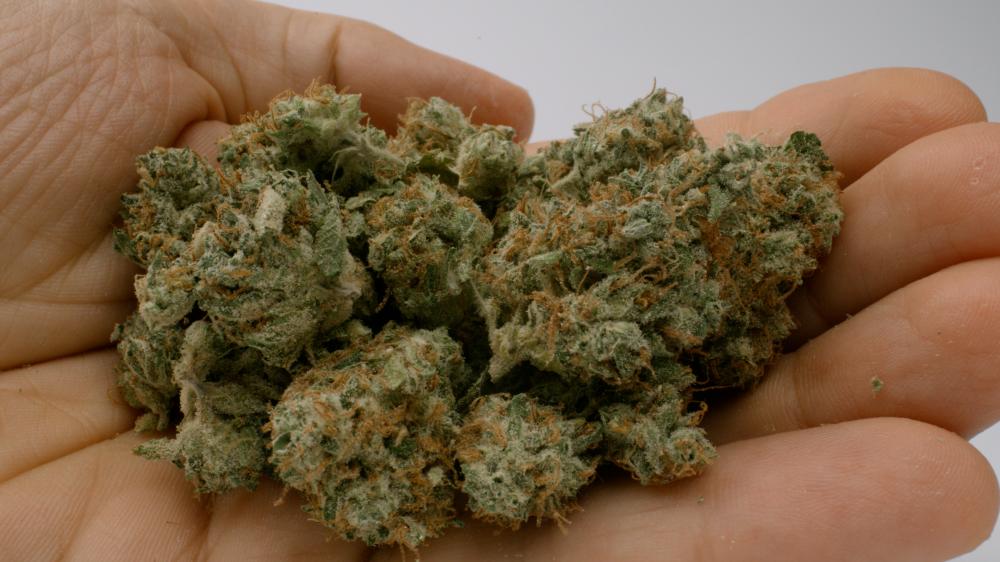 Finding the Best Miami Dispensary Deals