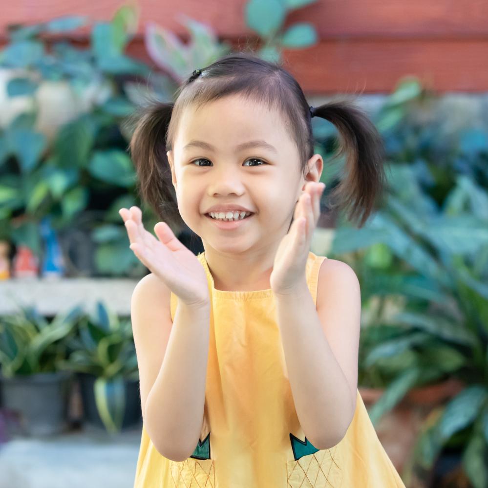 Programs and Offerings from FDT Academy