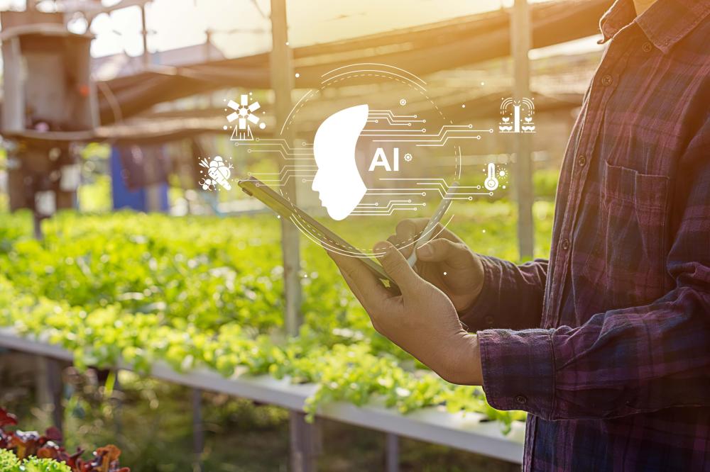 Strategic Advantages of AI Certification