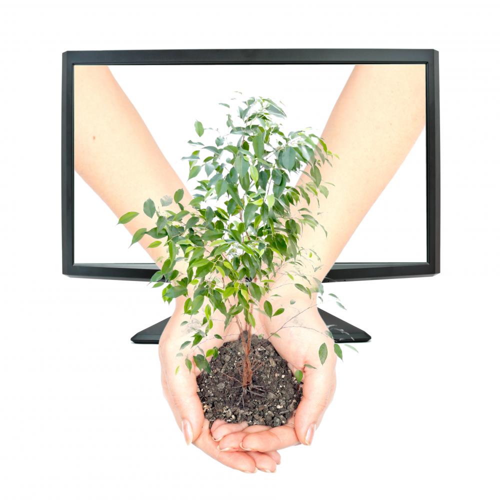 Comprehensive Web Solutions