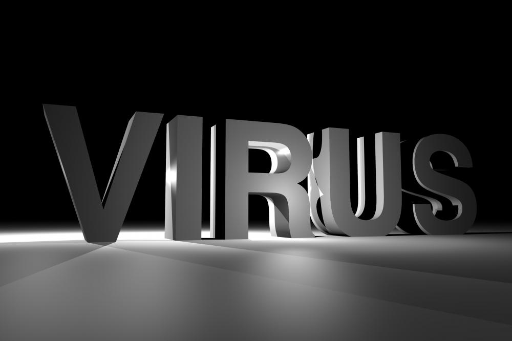 The Importance of Timely Virus Removal
