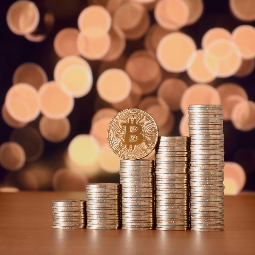 Navigating the Domain Crypto Ecosystem