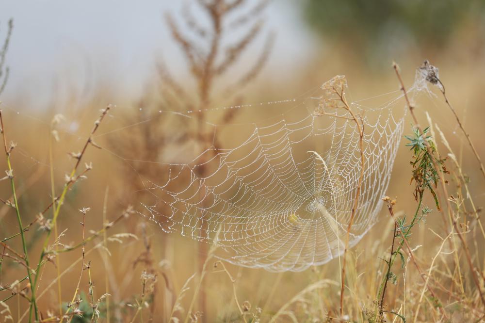 Web3's Impact on Digital Marketing