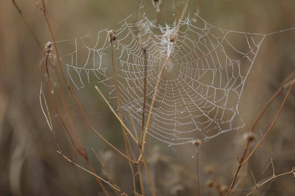 Embracing New Realities: The Diverse Facets of Web3 Definition