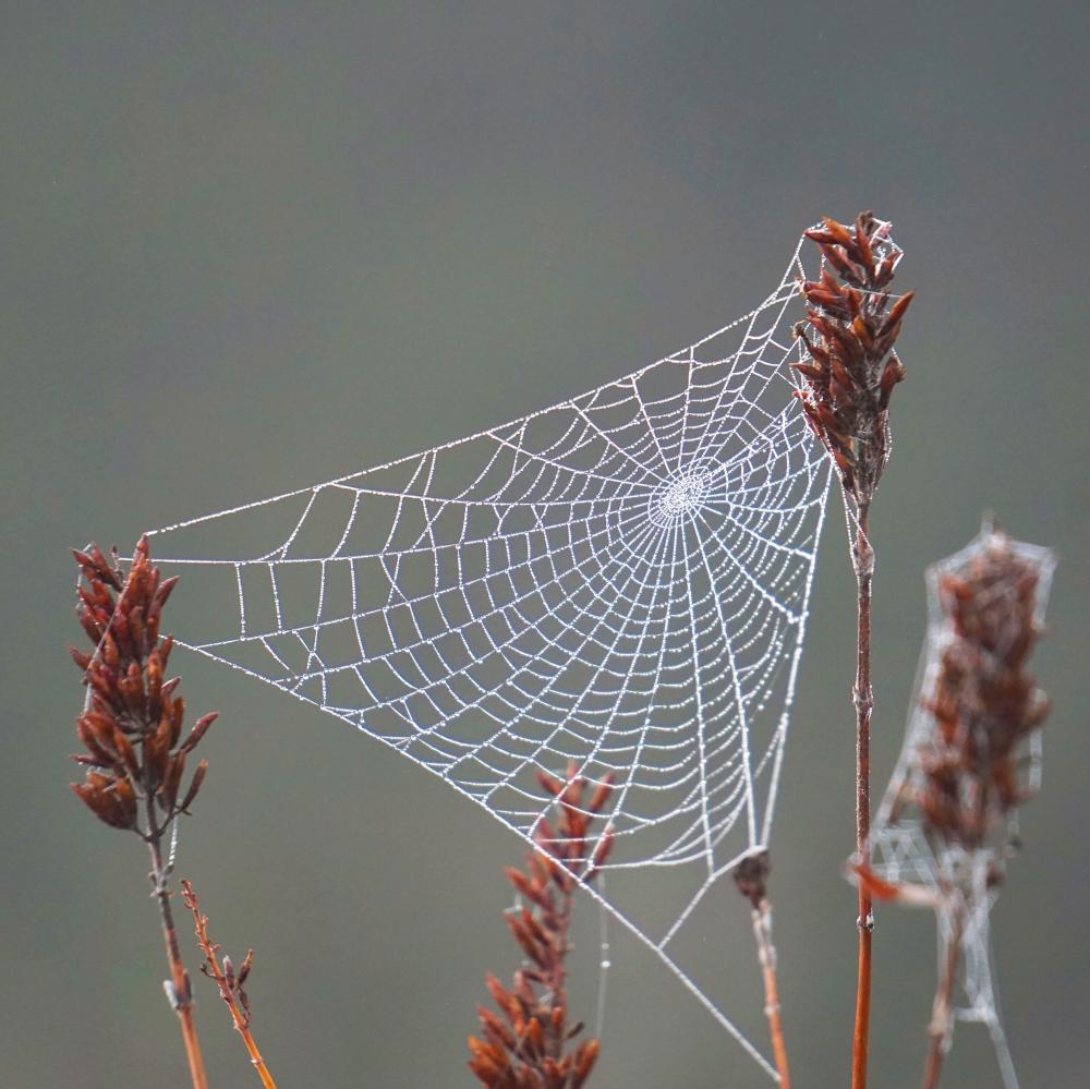 The Technology Behind Web3