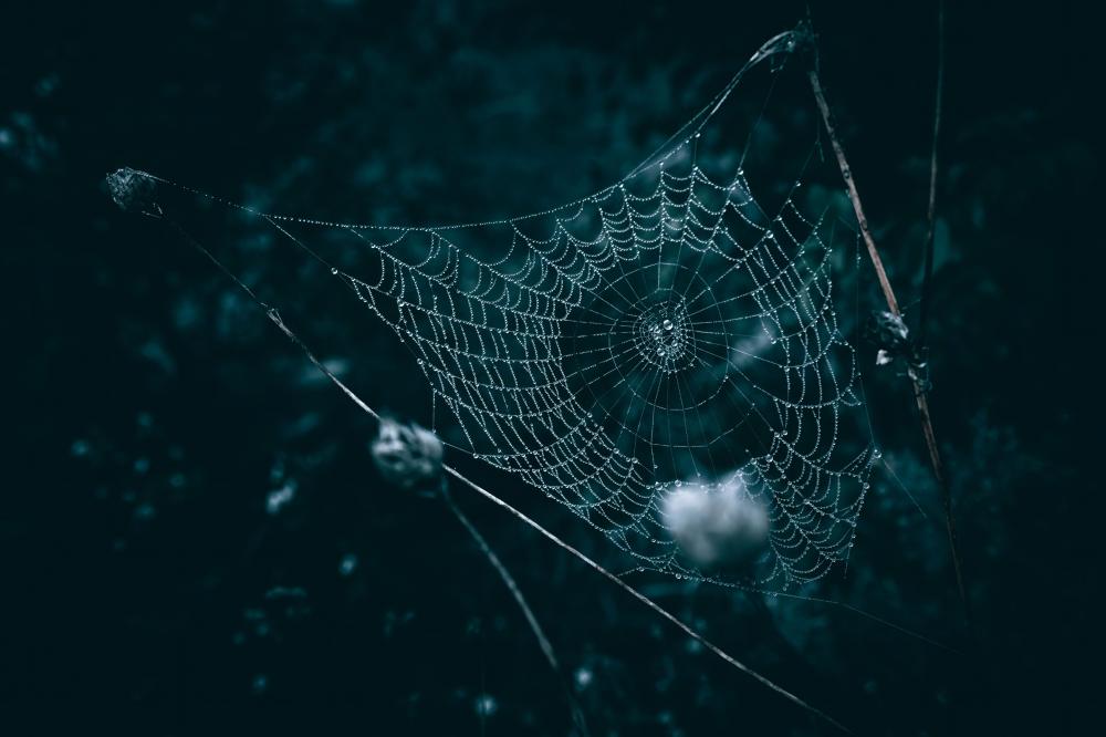 Web3 in Practice: Real-World Applications