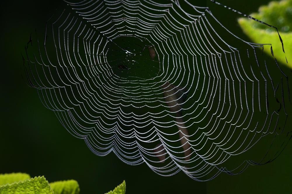The Potential Impact of Web 3.0