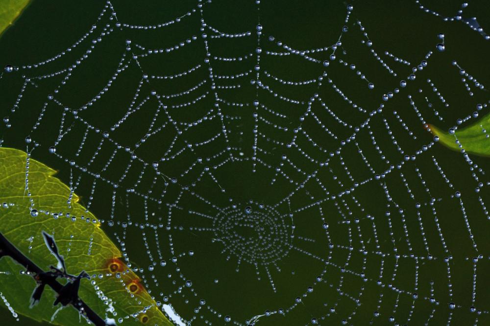 Key Innovations Driving Web 3.0