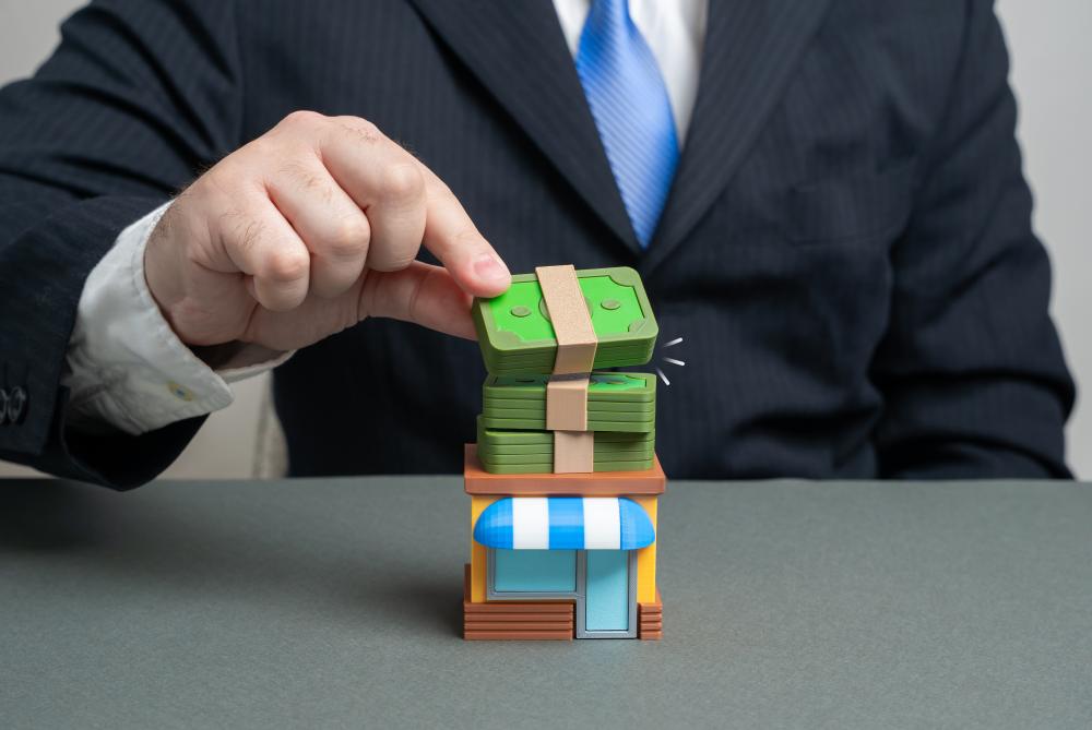 Types of Expansion Loans