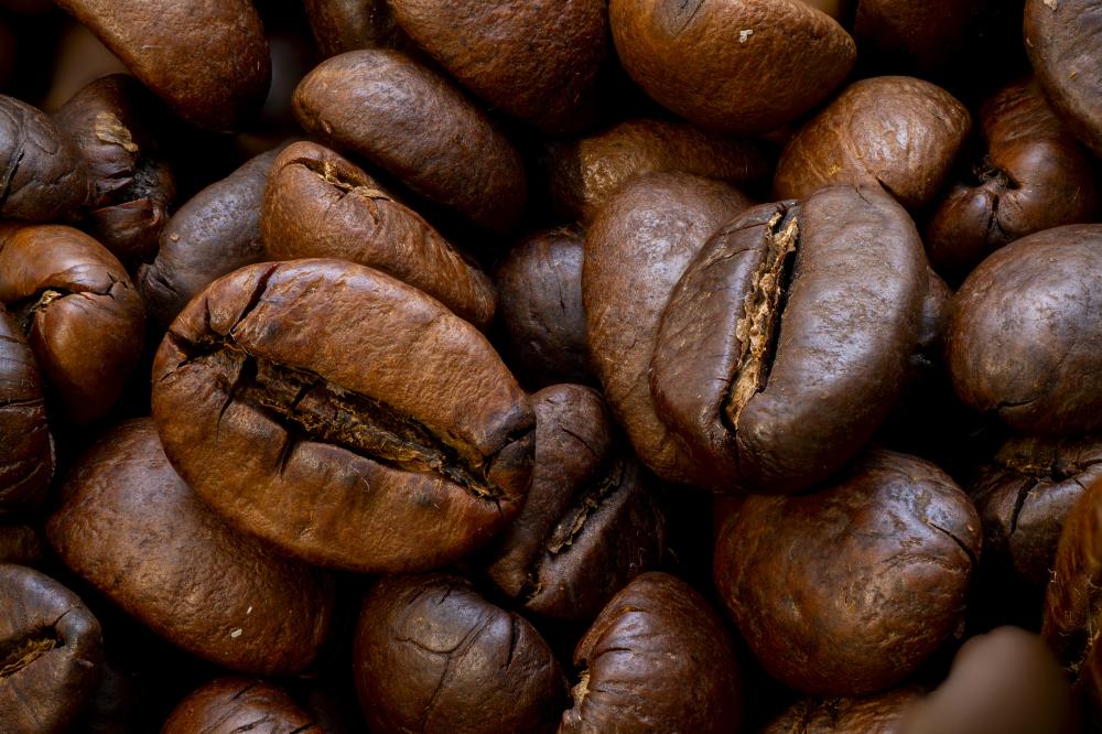 How to Choose the Right Wholesale Coffee Roaster