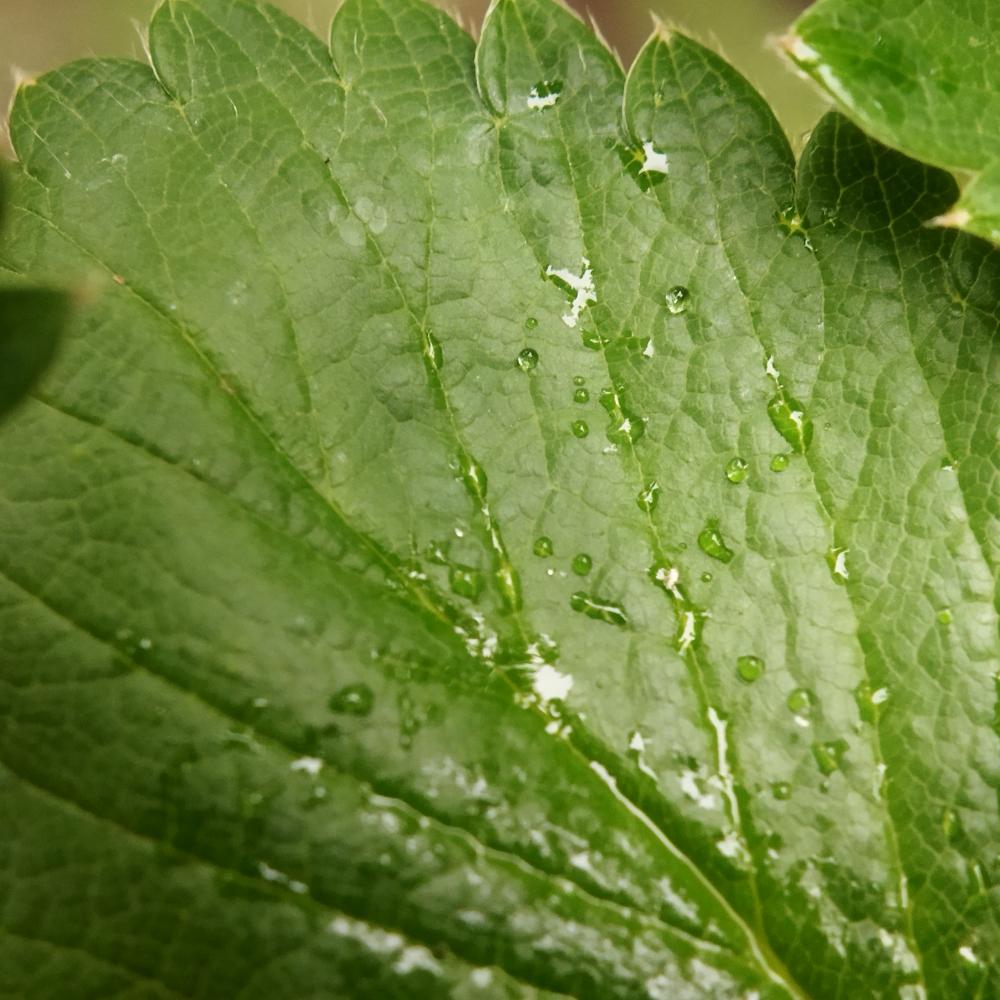 What Questions Do People Often Ask About Evapotranspiration?