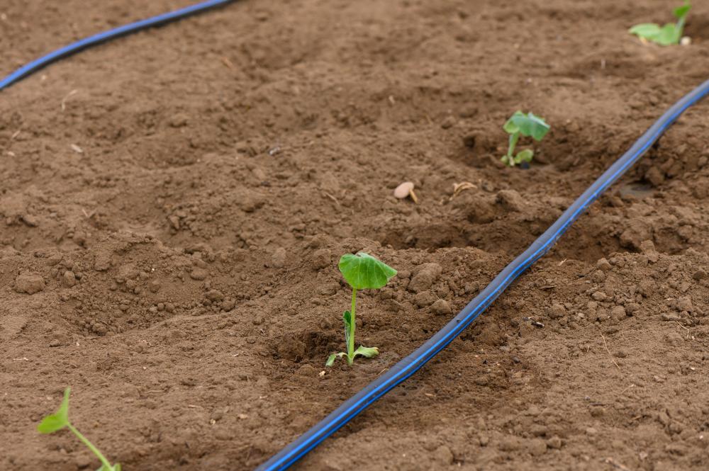 What Qualifies as a Drip Irrigation California Emergency?