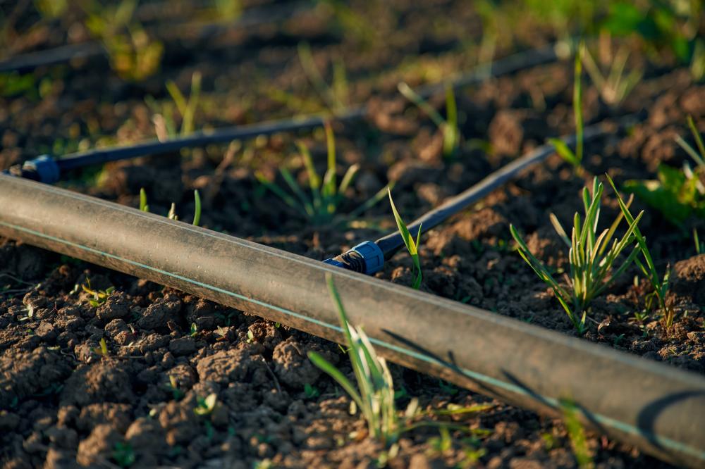 How to Set Up Your Drip Irrigation System