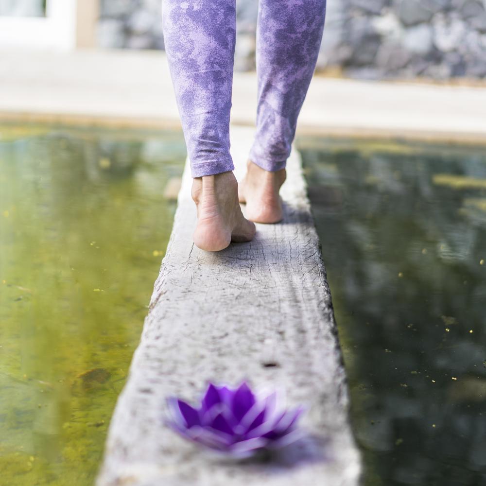 Alignment Yoga Through a Scientific Perspective