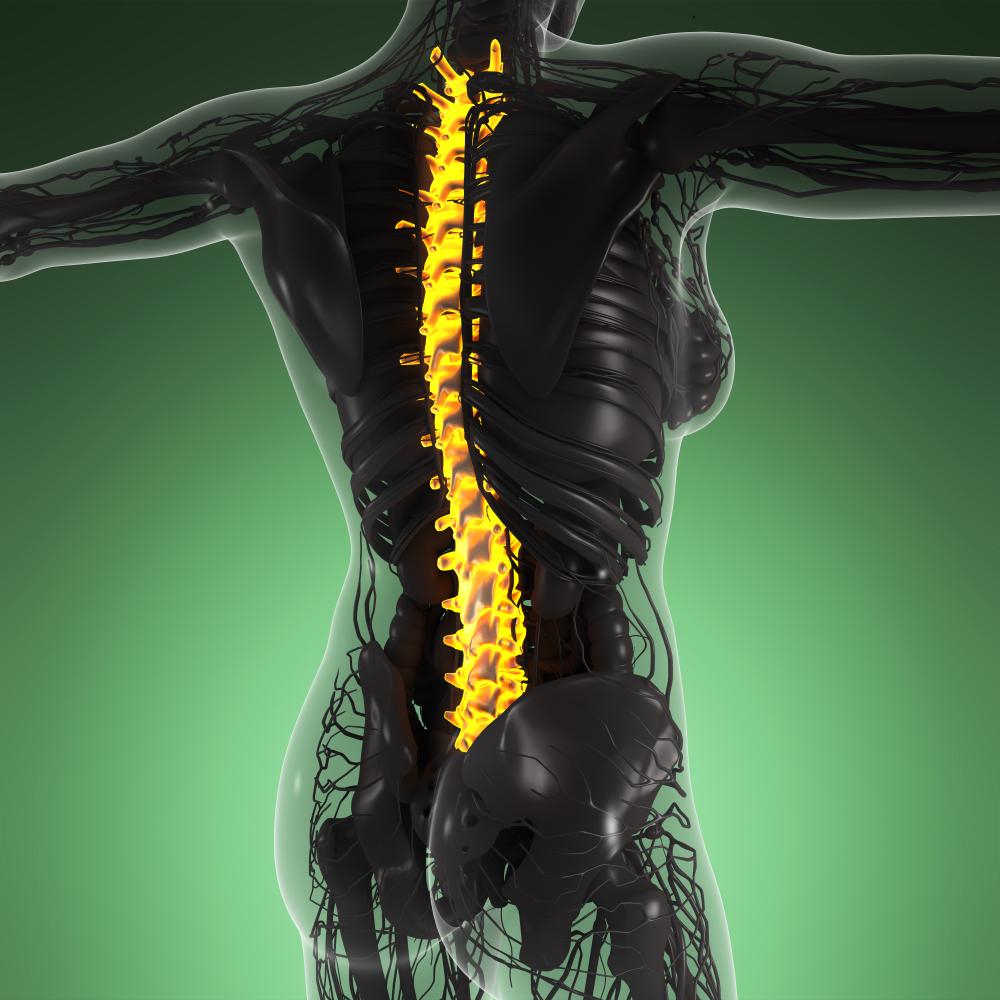 Holistic Approaches to Sciatica Relief