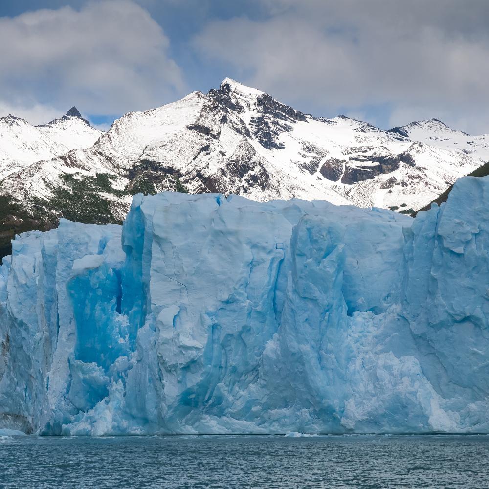 What Are Common Issues with Sub Zero Refrigerators?