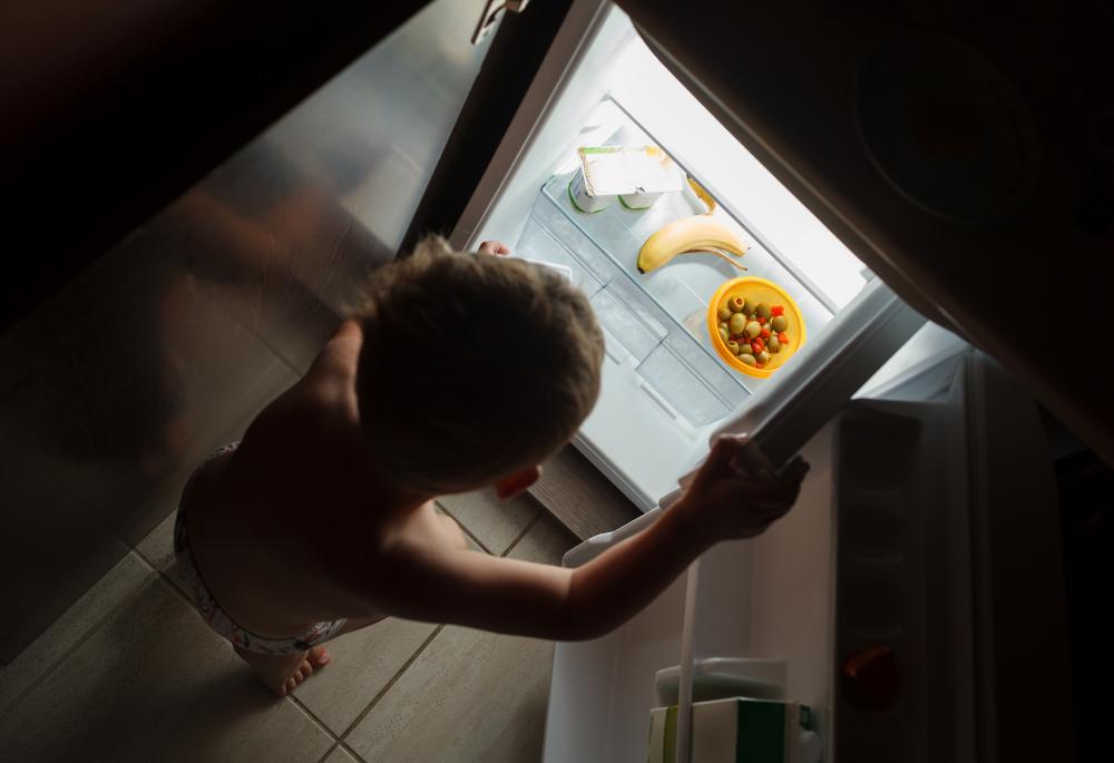 What are Common Issues with Viking Fridges?