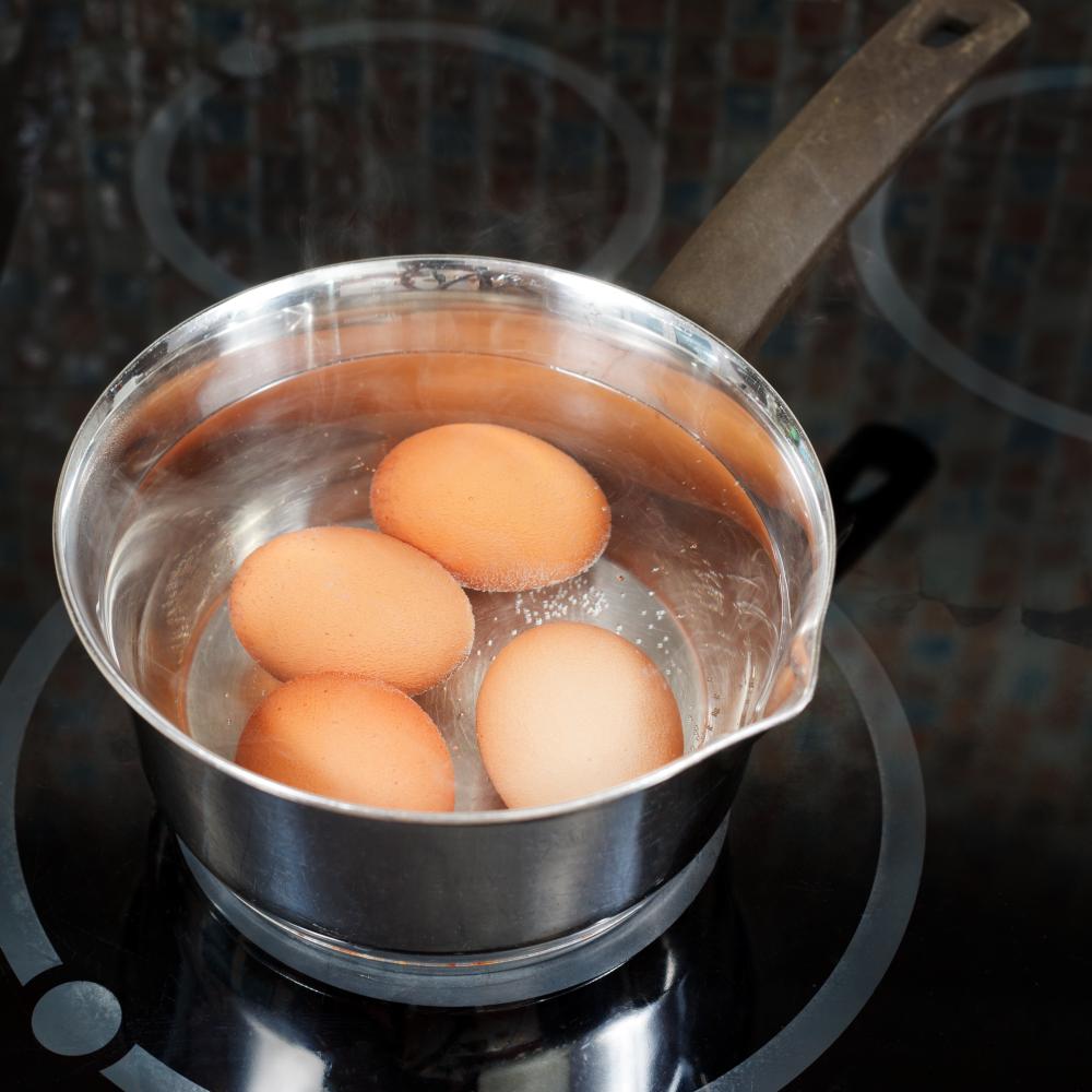 Why Is Proper Maintenance Vital for Wolf Ovens?