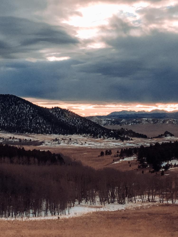 What Qualifies as a Wolf Range Repair Arvada Emergency?