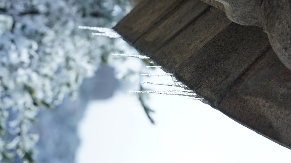What Common Issues Require Subzero Repair in Santa Maria?