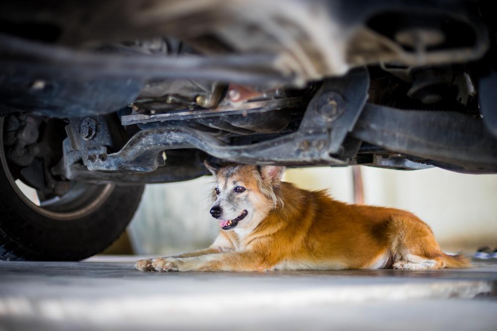 The Importance of Genuine Parts