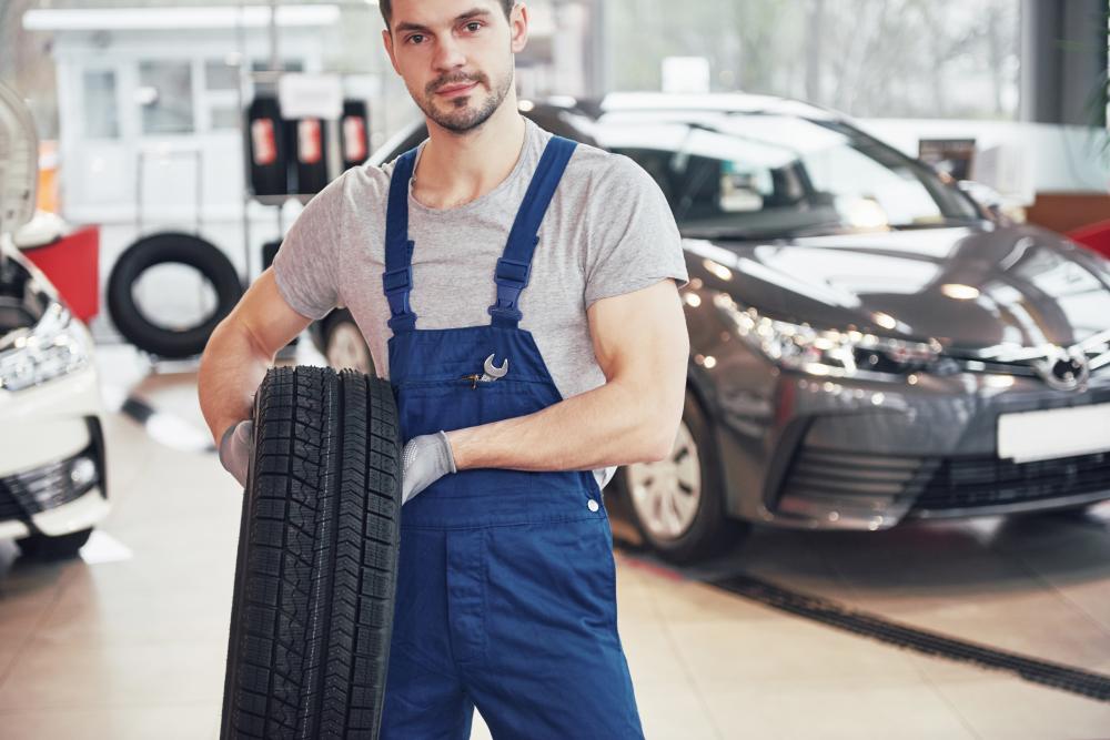 Daily Encounters with Wolf Service Leesburg