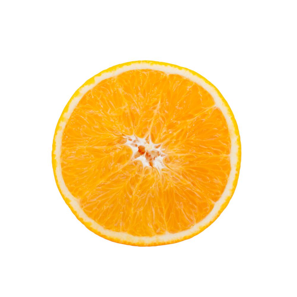 Common Issues with Sub Zero Refrigerators