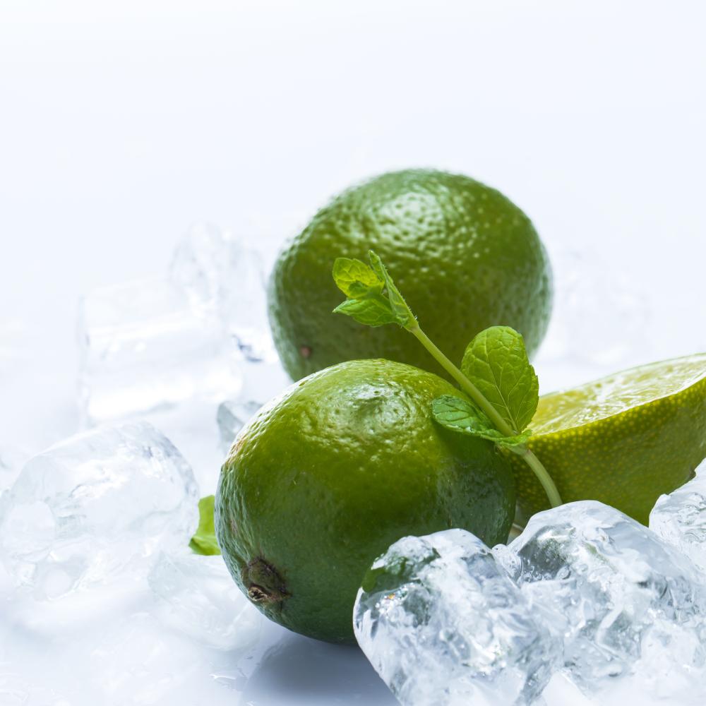 Key Features of Phoenix Viking Counter Depth Refrigerators