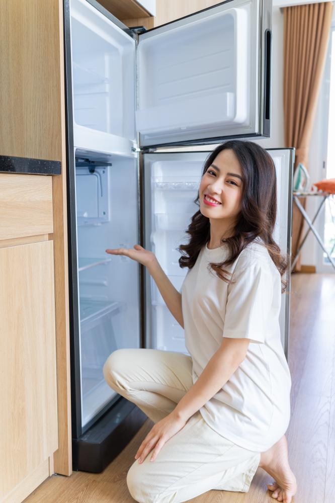 Our Expertise in Sub Zero Appliance Repair