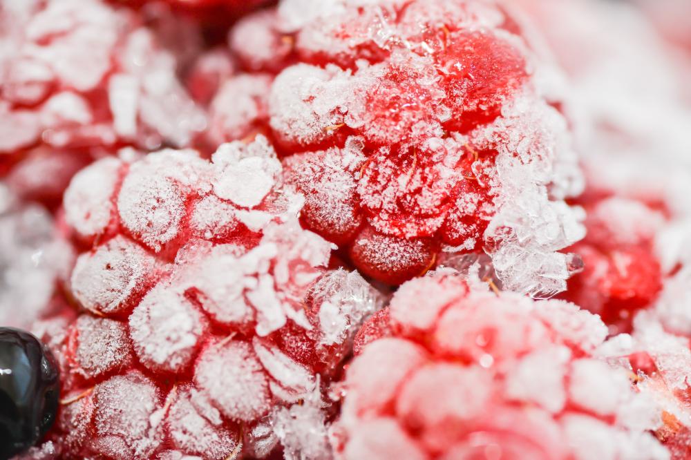 Common Repair Issues with Sub Zero Refrigerators