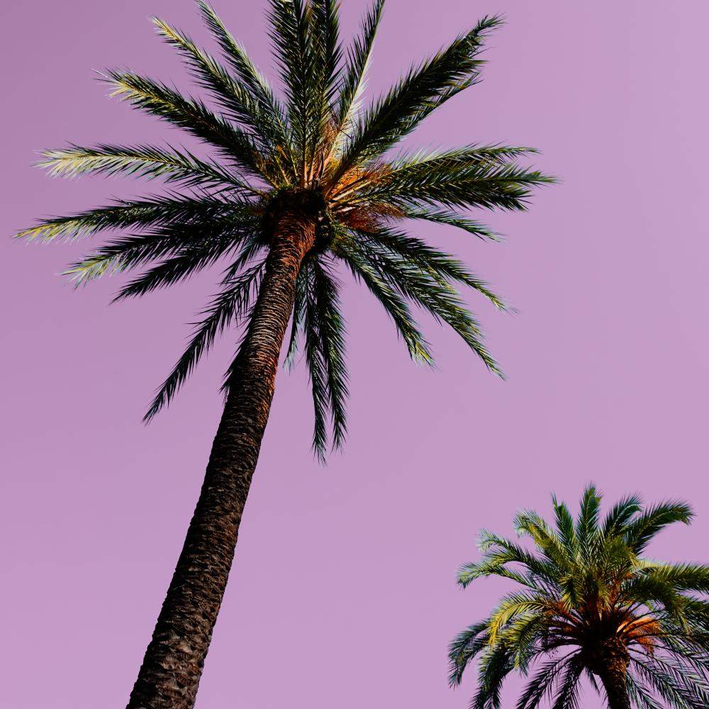 Diverse Services Offered by Santa Ana Air Conditioning