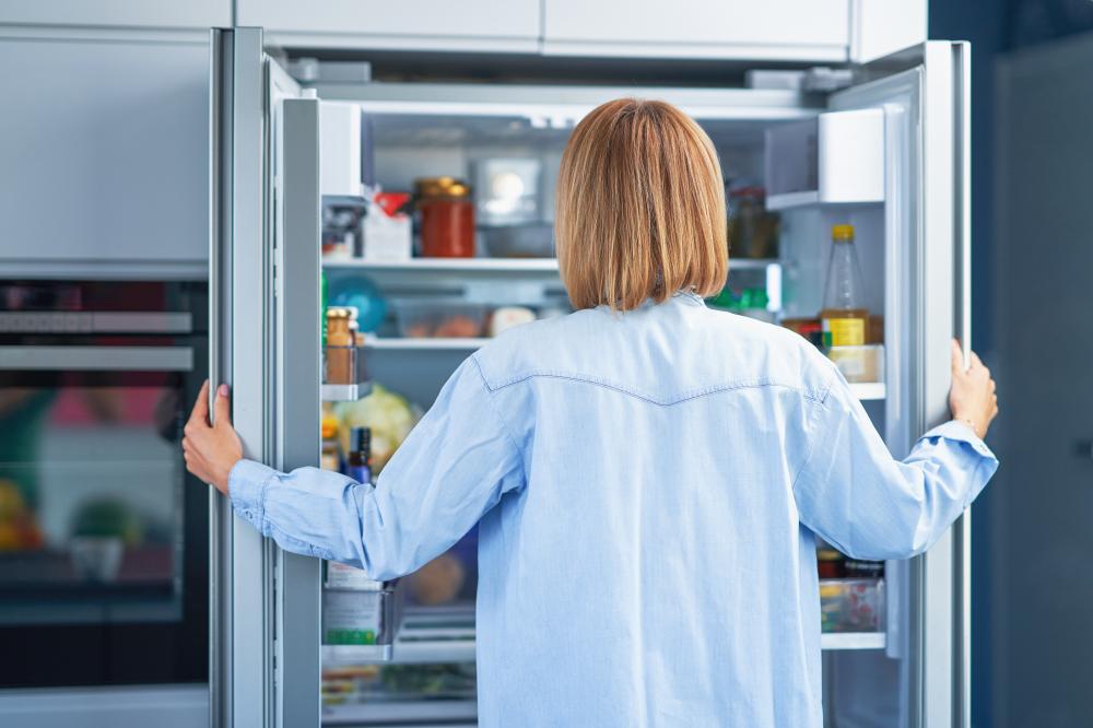Common Issues with Sub Zero Fridges