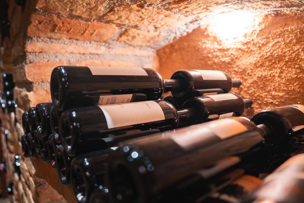 What Makes Viking Wine Coolers Special?