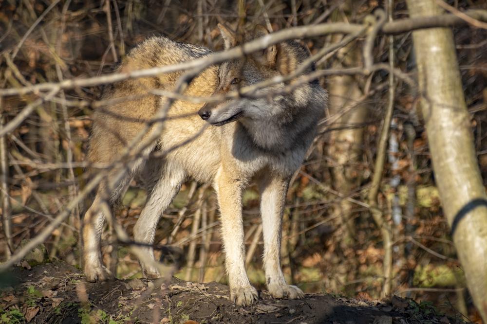 How to Identify a Reliable Service Provider