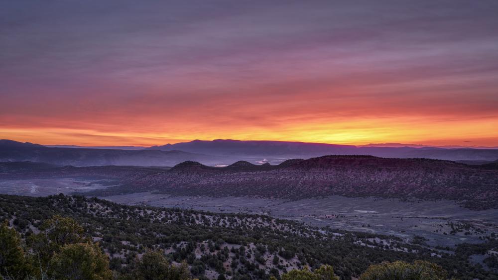 Importance of Certification in Wolf Range Repair Reno