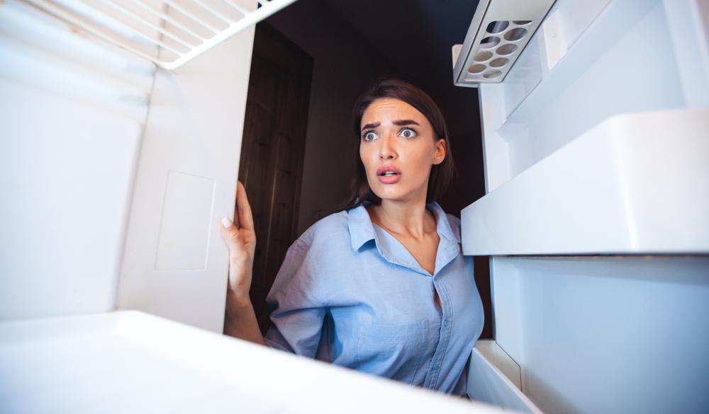 Unique Insights into Sub Zero Fridge Repair