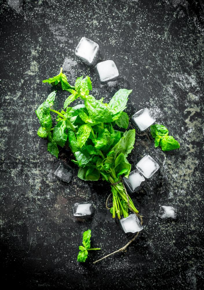Common Issues and Solutions for Your Sub Zero Appliances