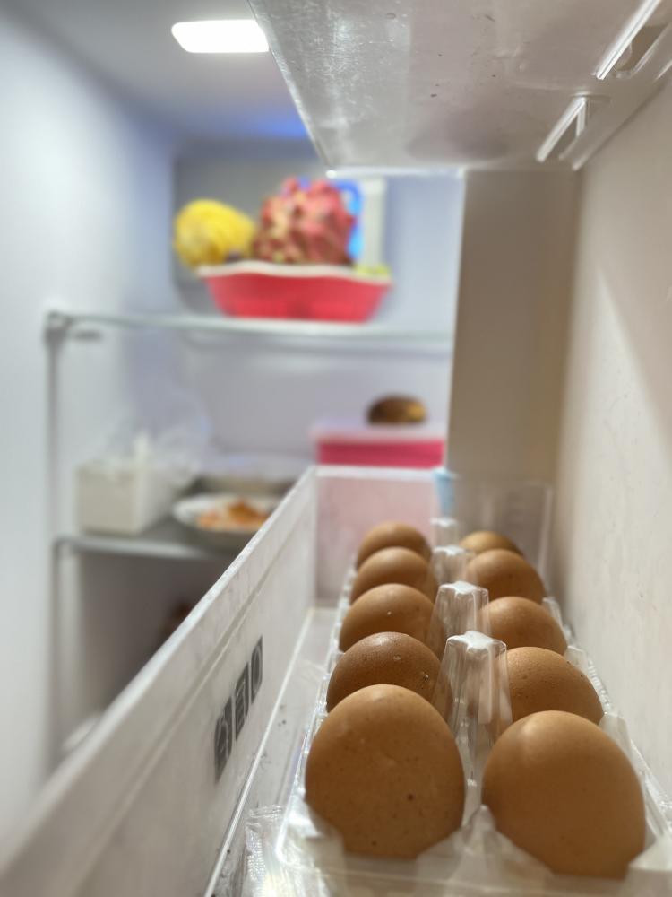 Features and Benefits of Viking Refrigerators