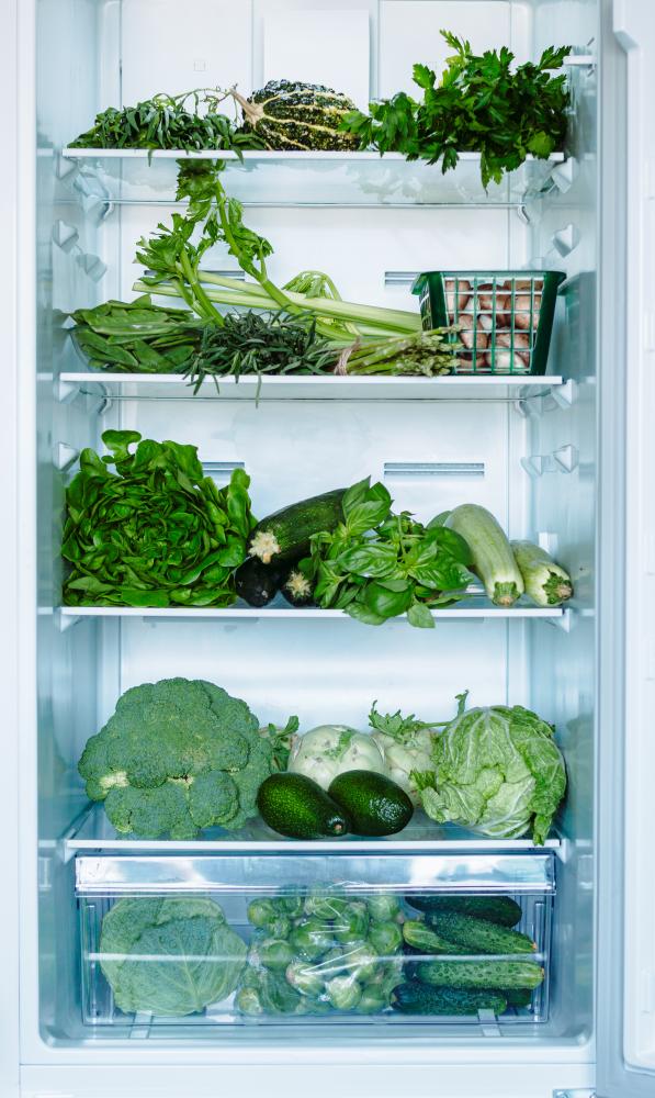 Common Issues and Solutions with Viking Freestanding Refrigerators