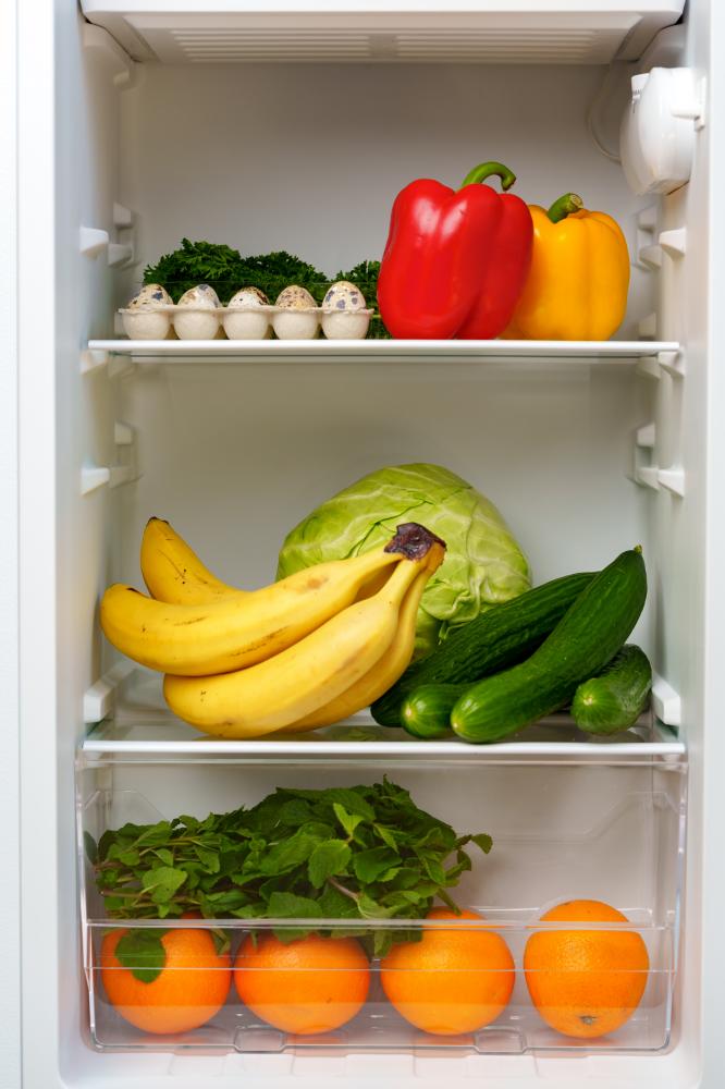 Common Fridge Repair Issues